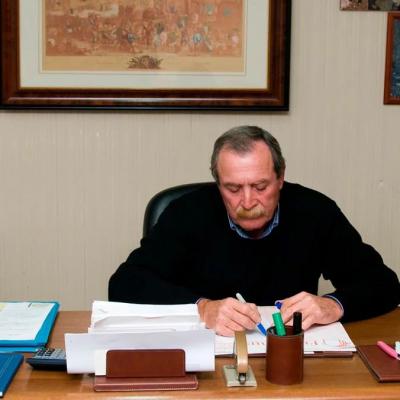 Organizzazione